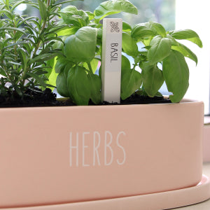 Home Grown Basil Herb Label
