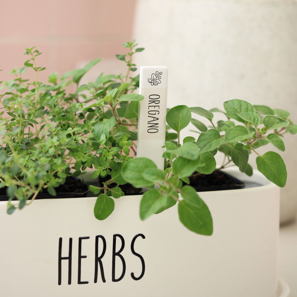 Home Grown Oregano Herb Label