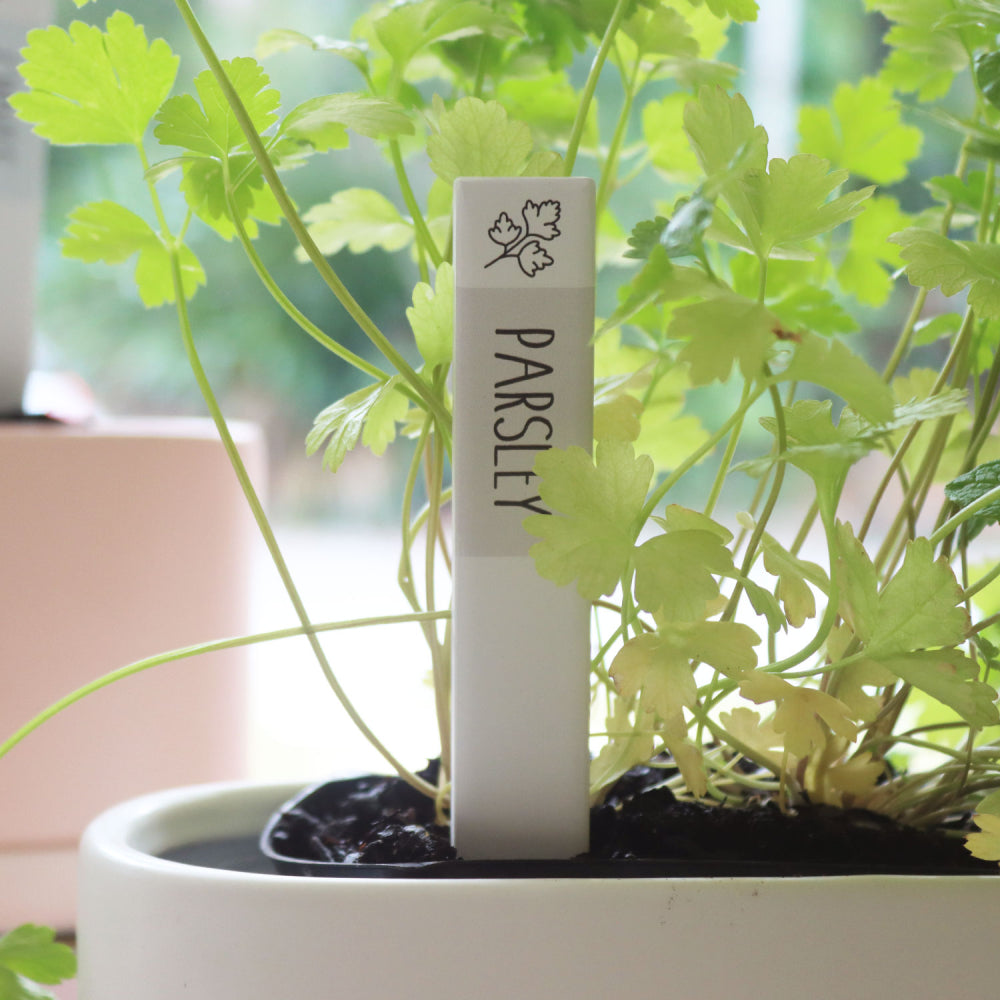 Home Grown Parsley Herb Label